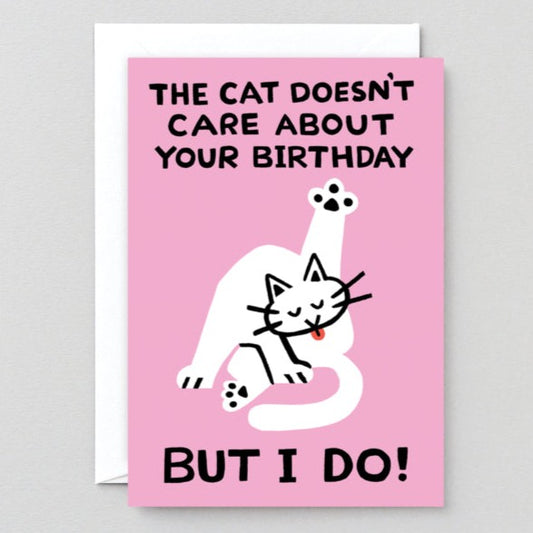 Cat doesn't care birthday greetings card