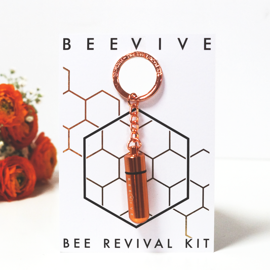 Bee Revival Kit