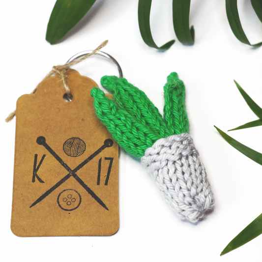 Aloe vera Crochet Keyring