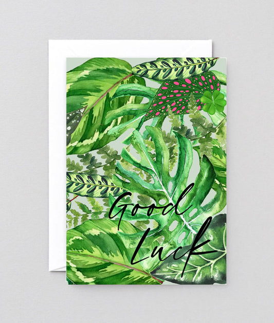 Good luck plant leaves greetings card