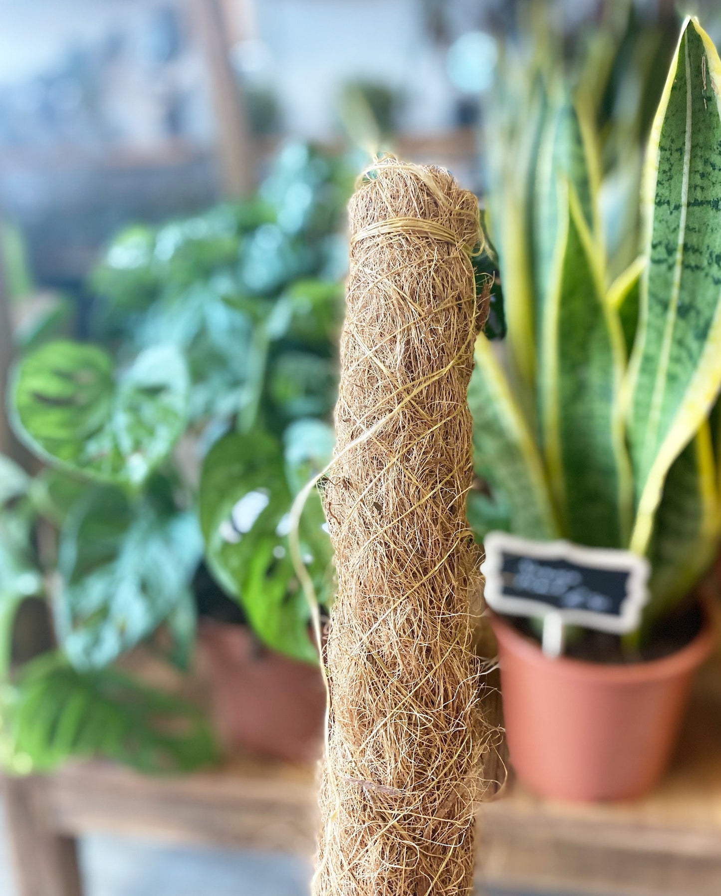 Moss Pole