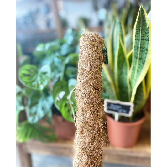Moss Pole